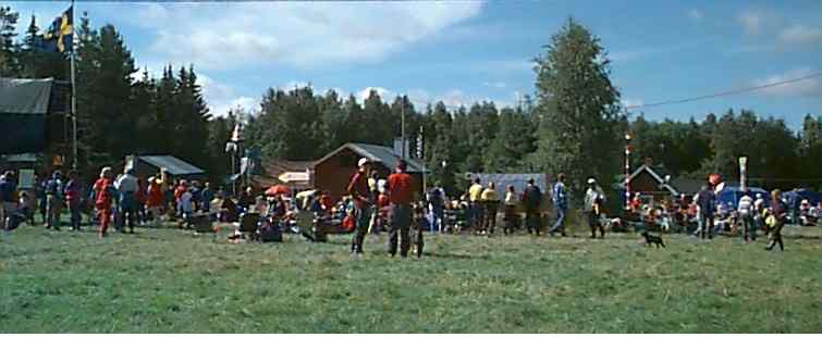 Vy över målområdet i Nordibyn, Bjursåsluffen 98